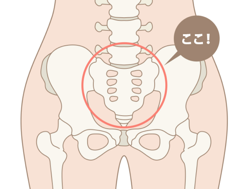 仙骨イメージ図