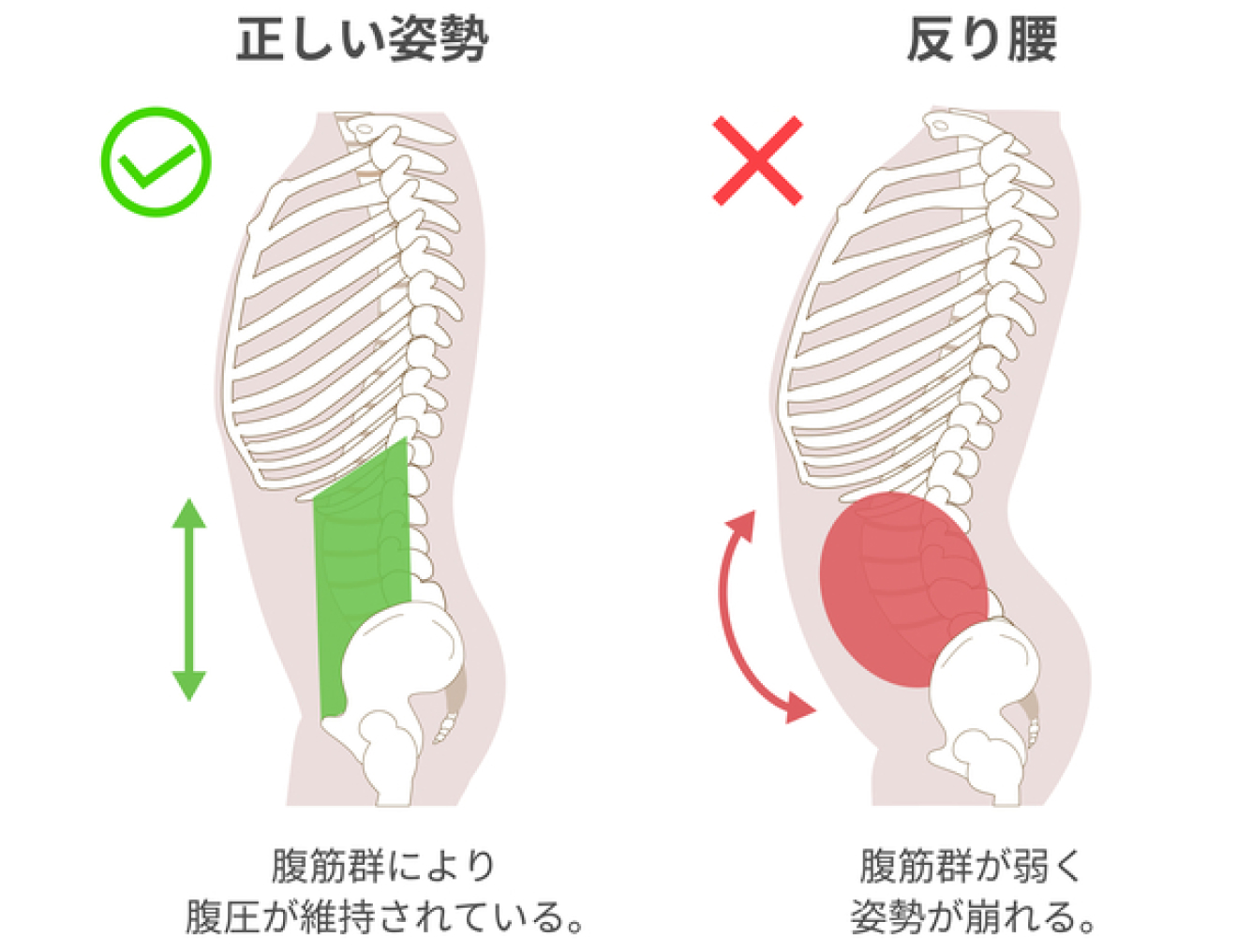 正しい姿勢イメージ図